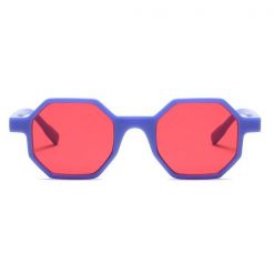 ItGirl Shop Geometric Octagon Plastic Frame Sunglasses Indie Clothes